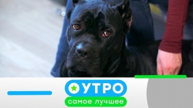 21 мая 2019 года 20.05.2019