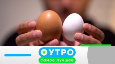 21 мая 2024 года 21.05.2024