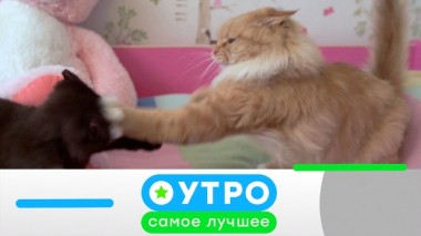 22 июля 2020 года 22.07.2020