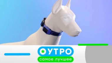 22 июля 2024 года 22.07.2024