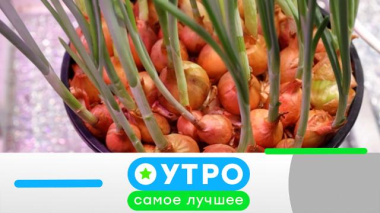 22 июля 2026 года 22.07.2026