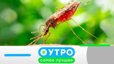 22 июня 2026 года 22.06.2026