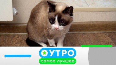 22 мая 2019 года 21.05.2019