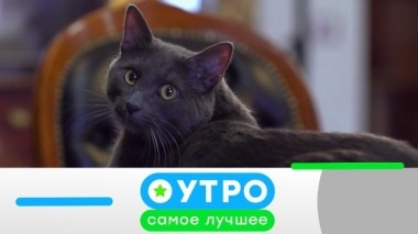 23 апреля 2019 года 22.04.2019