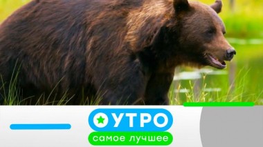 23 августа 2024 года 23.08.2024