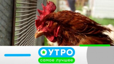 23 мая 2024 года 23.05.2024