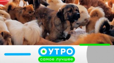 24 апреля 2024 года 24.04.2024