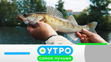 24 июня 2026 года 24.06.2026