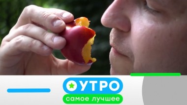 24 марта 2020 года 24.03.2020