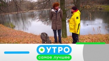 24 сентября 2019 года 23.09.2019