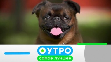 25 февраля 2020 года 24.02.2020