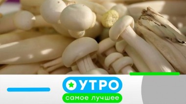 25 февраля 2025 года 25.02.2025