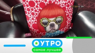 25 марта 2019 года 25.03.2019