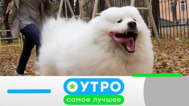 25 марта 2020 года 24.03.2020