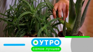 25 марта 2024 года 25.03.2024