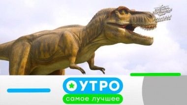 26 декабря 2024 года 26.12.2024