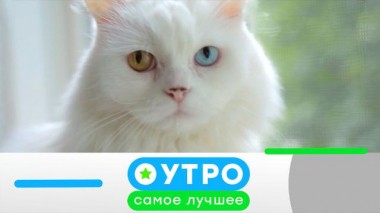 26 июня 2024 года 26.06.2024