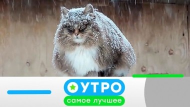 26 ноября 2019 года 25.11.2019