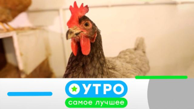 26 сентября 2025 года 26.09.2025