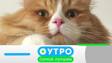 27 июня 2019 года 26.06.2019