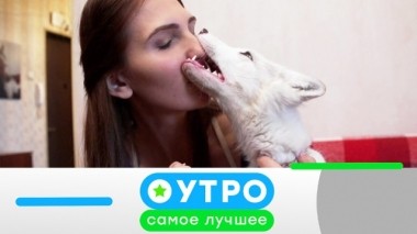 27 марта 2019 года 26.03.2019