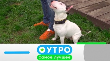 27 мая 2019 года 26.05.2019