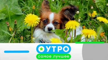 27 мая 2024 года 27.05.2024