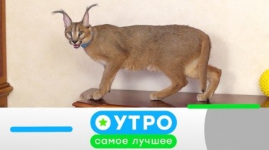 27 сентября 2019 года 27.09.2019