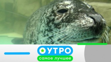 28 апреля 2020 года 27.04.2020