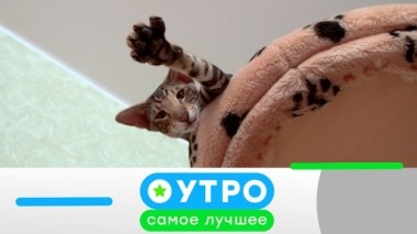 28 мая 2019 года 27.05.2019