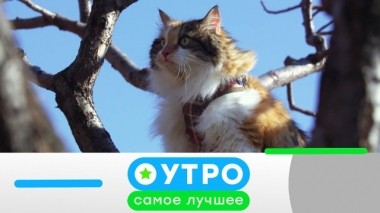 28 ноября 2019 года 27.11.2019