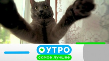 29 июля 2020 года 28.07.2020