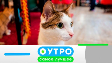 29 июня 2026 года 29.06.2026