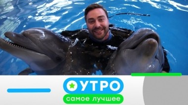 29 мая 2019 года 28.05.2019