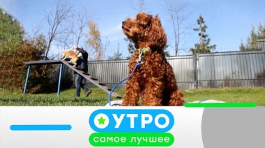 29 ноября 2023 года 29.11.2023