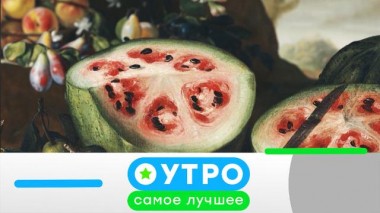 29 ноября 2024 года 29.11.2024