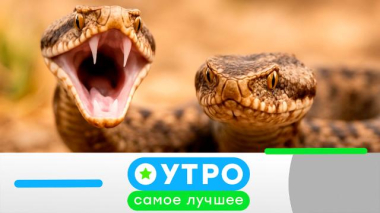 3 июня 2026 года 03.06.2026