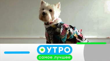 3 октября 2025 года 03.10.2025