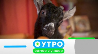 30 апреля 2020 года 29.04.2020