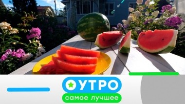 30 мая 2019 года 29.05.2019