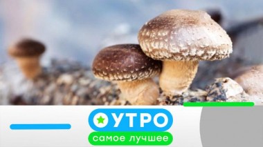 30 октября 2023 года 30.10.2023