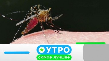 31 мая 2024 года 31.05.2024