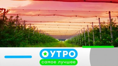 31 октября 2024 года 31.10.2024