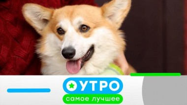 31 января 2024 года 31.01.2024