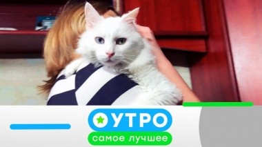 4 апреля 2019 года 03.04.2019