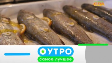 4 июля 2024 года 04.07.2024