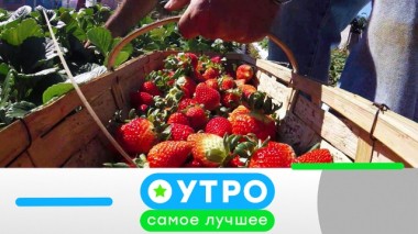 4 июня 2020 года 04.06.2020