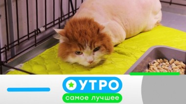 4 мая 2020 года 03.05.2020