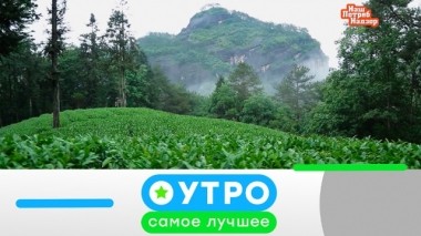 5 августа 2019 года 04.08.2019