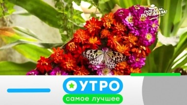 5 июля 2019 года 05.07.2019